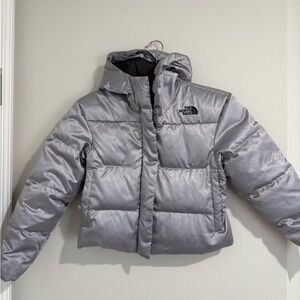 The North Face Silver Puffer Jacket